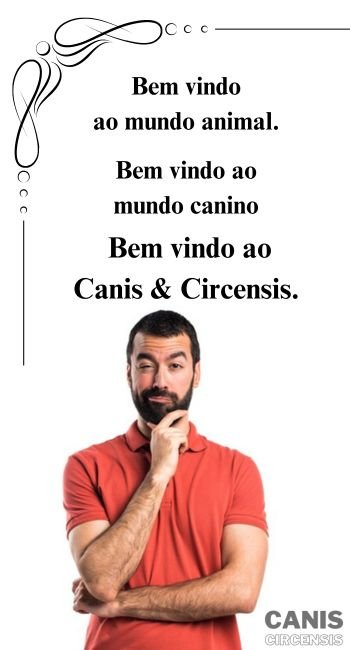 Bannner publicitário criação de sites