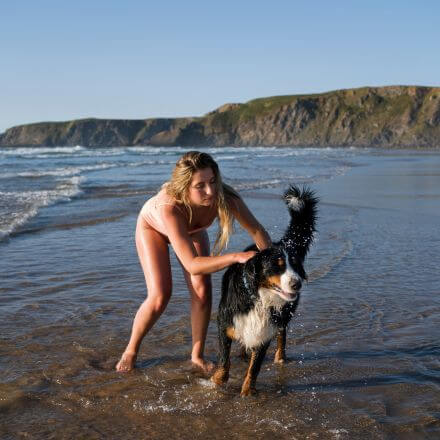Sol, Mar e o Melhor Companheiro: Um Guia Definitivo para Passeios na Praia com Cães