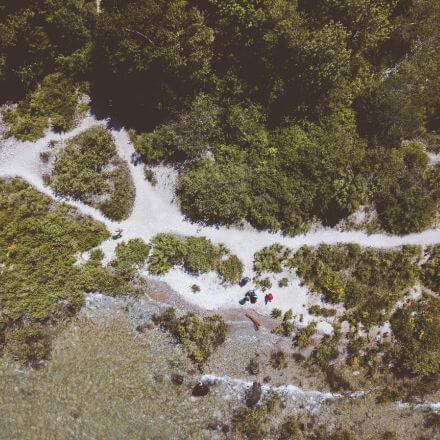 Brasil, um Gigante Natural: Entre os 10 Países Mais Ricos em Recursos do Planeta