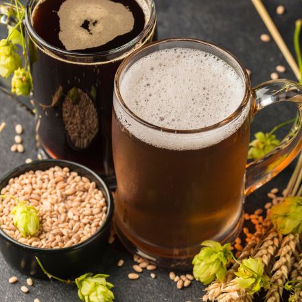 Sabor e Tradição: O Guia Definitivo das Melhores Cervejas Puro Malte do Brasil