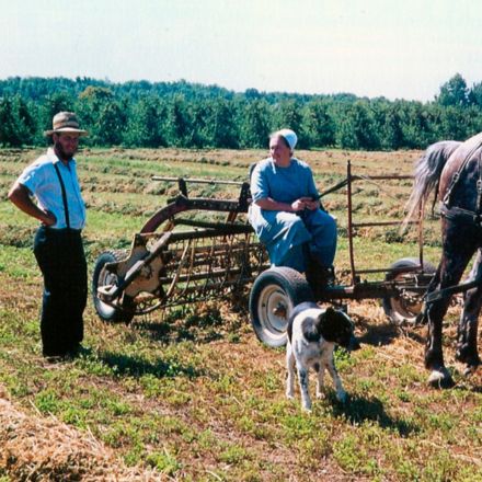 Homem e mulher amish em Nova Iorque (antes de 2008)