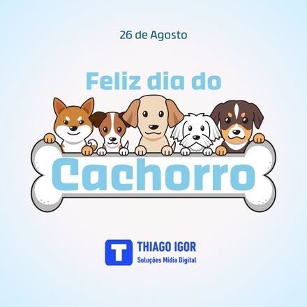 26 de Agosto: Celebre o Dia Mundial do Cachorro e a Melhor Amizade da Sua Vida!