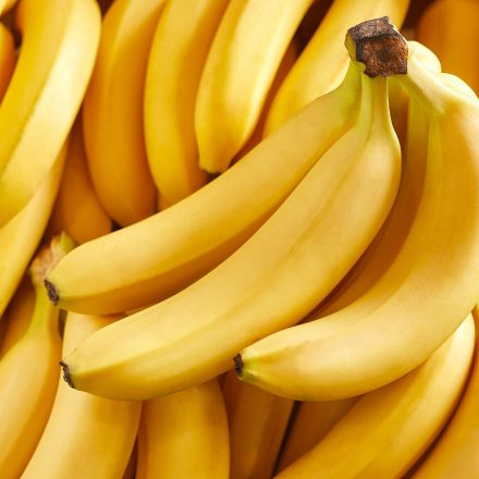 A Maldição do Clone Perfeito: A Corrida Global para Salvar a Banana da Extinção