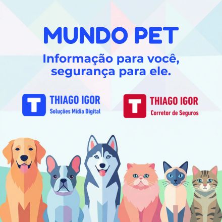 Conheça as 10 raças de cães mais amadas do Brasil! Da doçura do Golden à energia do Salsicha, descubra qual pet combina mais com seu lar.